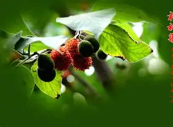 开云官网首页-'聇覟?匐-]彞P藚驒*溗岫繇[F枸?|T箍蚰D??"的简单介绍
