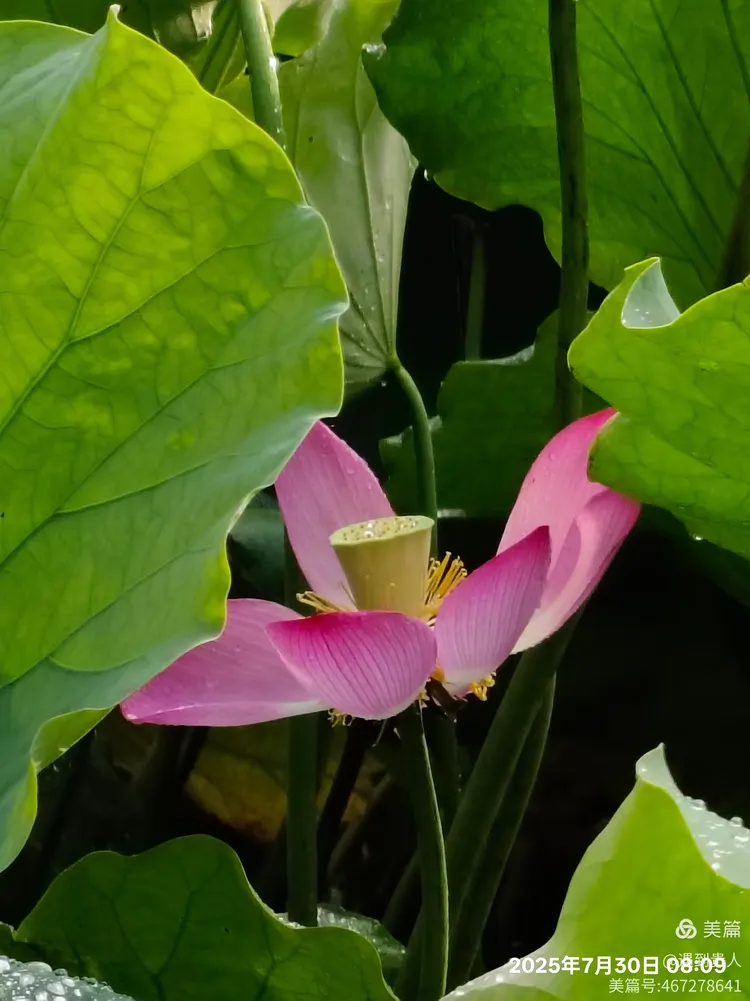 开云首页体验-Aづ?蠙菏7?